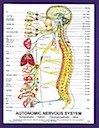 connecting the chiropractic dots